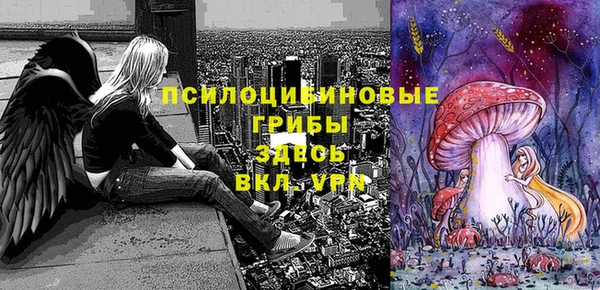 кокс Баксан