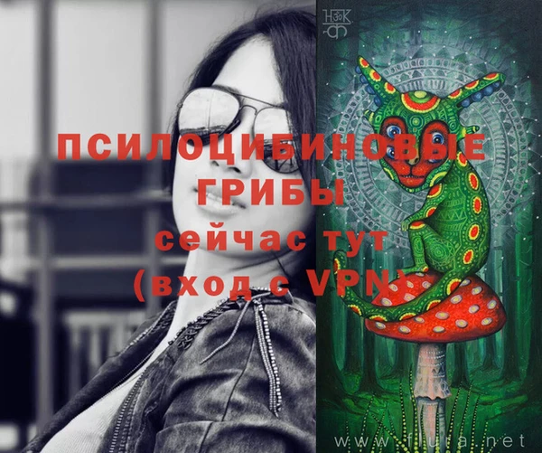 дживик Магас